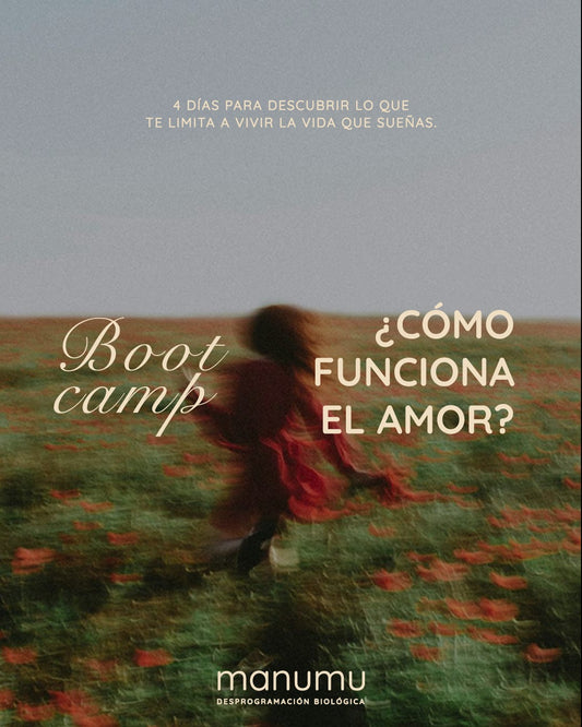 Bootcamp ¿Cómo funciona el amor?