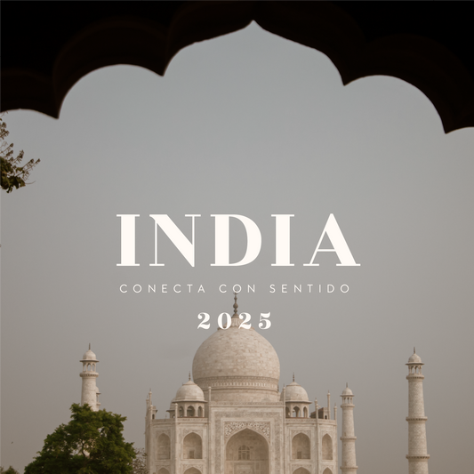 Un viaje al ❤️ India 2025